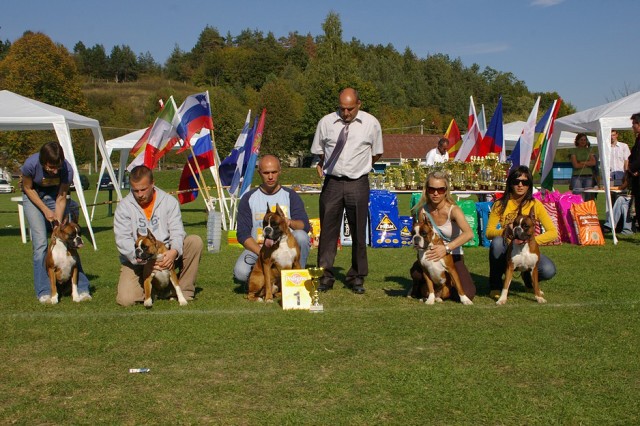 www.boxer-show.eu